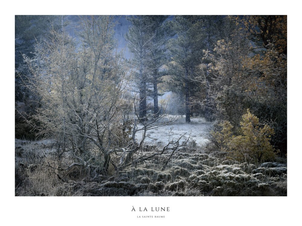 Posters Fine-Art