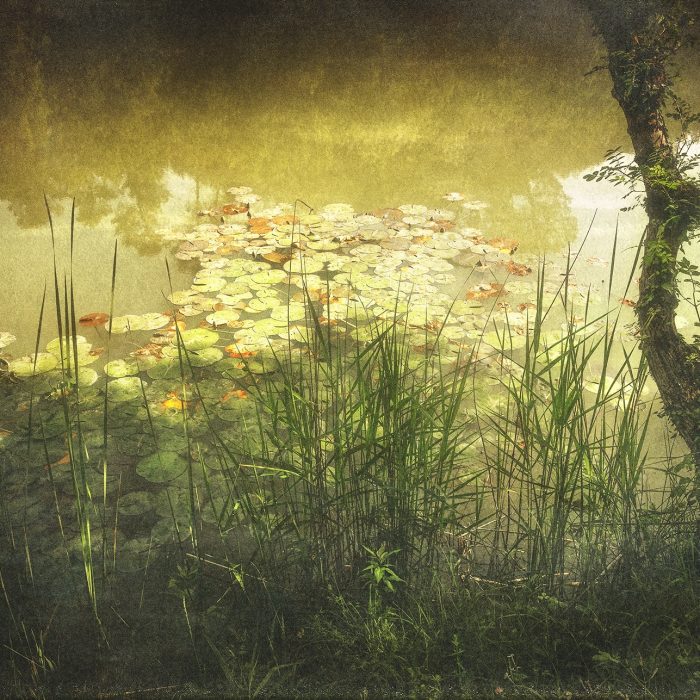 L'ETANG